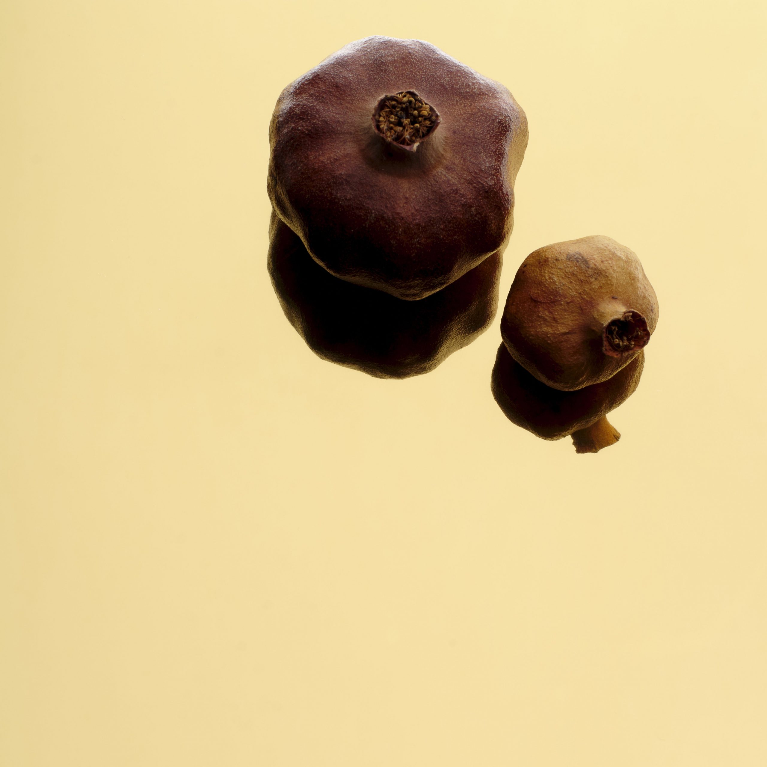 Bandoxal Brillant Jaune 129