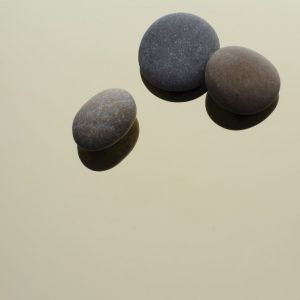 Bandoxal Brillant Champagne 117